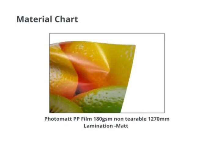 Custom Roll-Up Standees for Events