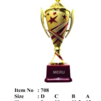 Elegant Fiber Trophy Award – Gold &...