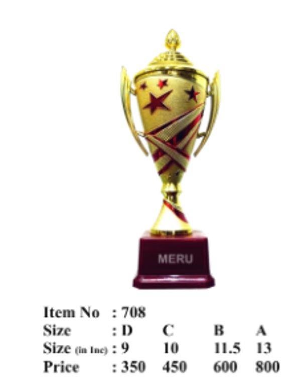 Elegant Fiber Trophy Award